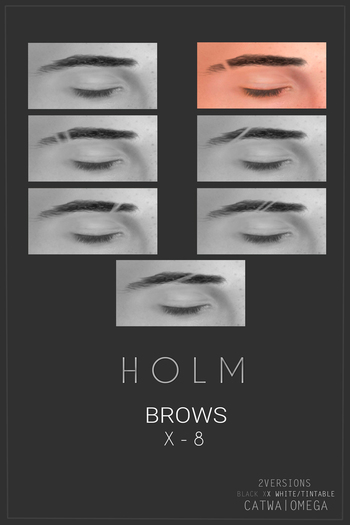 H O L M - X - 8 - Brows 02 [B/T] [CATWA/OMEGA] [Wear Me]