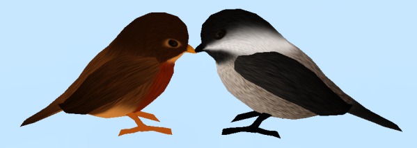 Two Tiny Friendly Birds