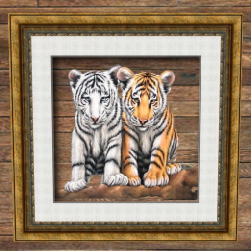 Tiger Cubs - Gold matted frame 1LI