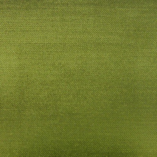 Green Couch Fabric