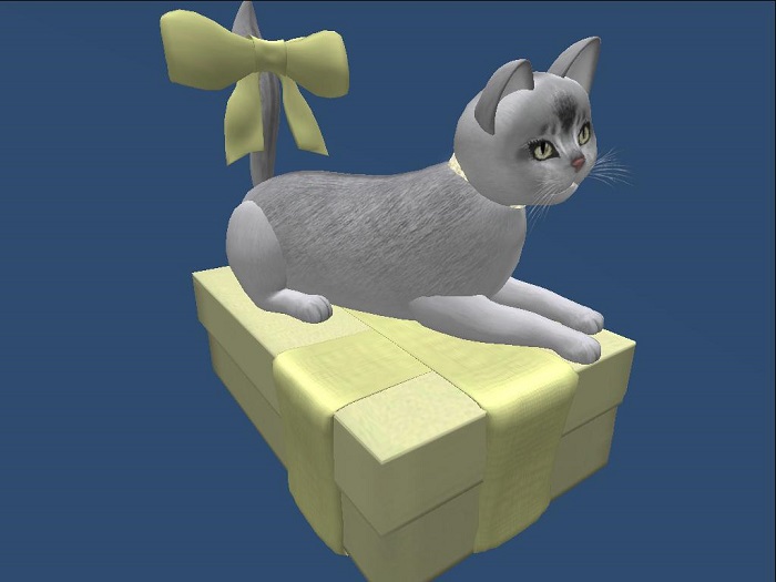 KittyCatS! Gift Card (USED)