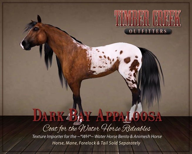 [Timber Creek] Bay Appaloosa Coat-Boxed