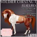 Soldier chest