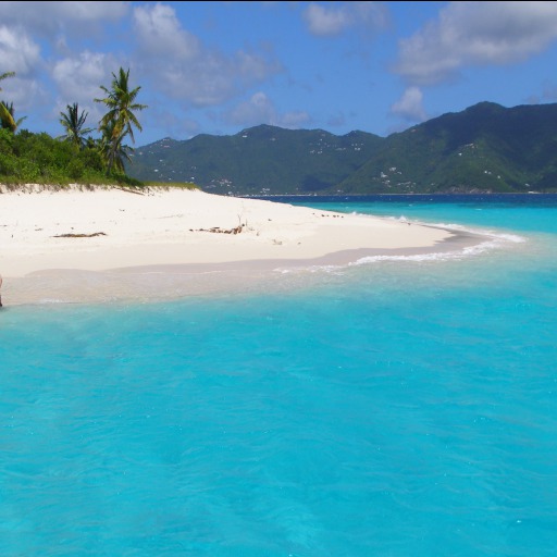 Sandy Caribbean beach