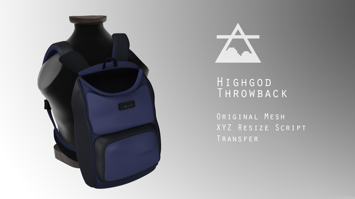 HG Throwback bluBlk bag