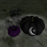~THD~ Pumpkin moon halloween decor