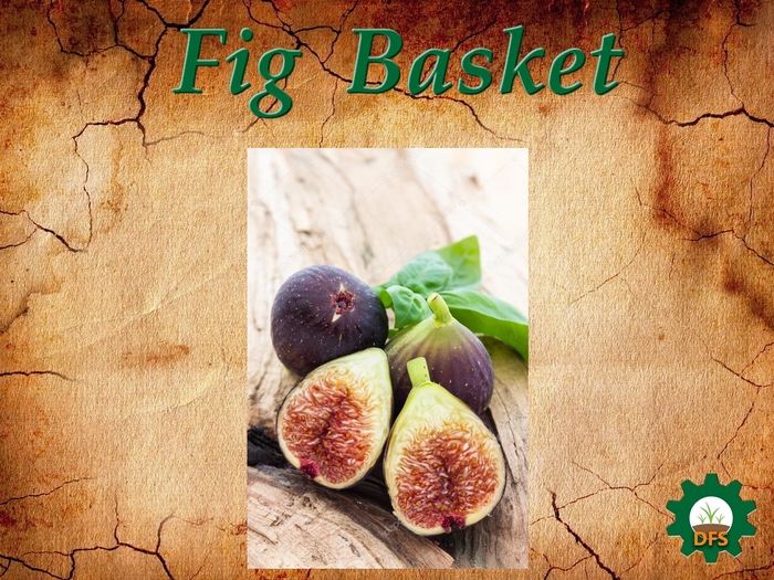 DFS Texture Fig Basket
