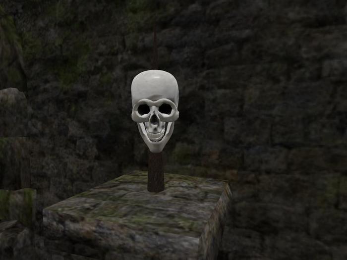 Scary Staring Skull