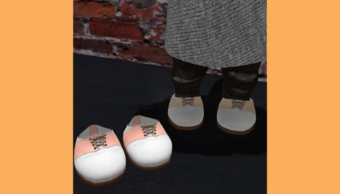 *TW* 2PACKBAG PALES SADDLE SHOES