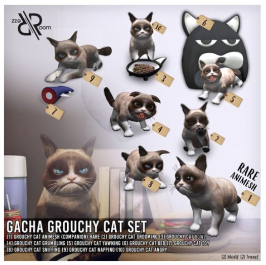 [Rezz Room] Pack Grouchy Cat Sniffing