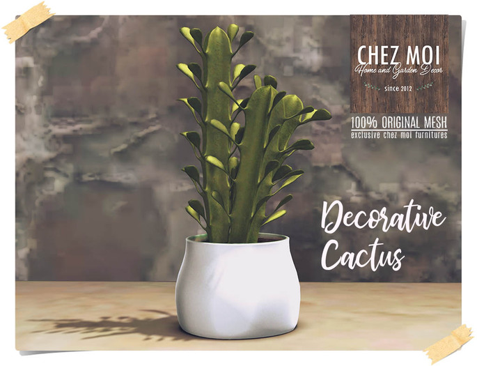 Decorative Cactus ♥ CHEZ MOI