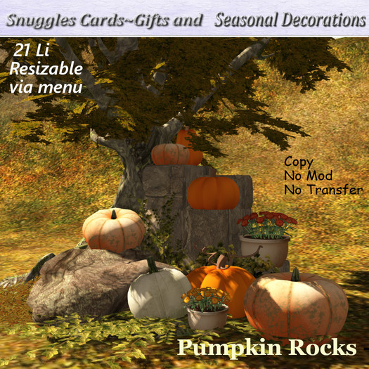 Pumpkin Rocks - Autumn Decor By Snuggles  Boxed