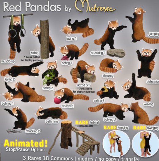 Mutresse - Habitat - Red Pandas RARE 1