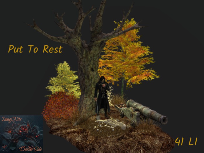 ImagiNits Put To Rest