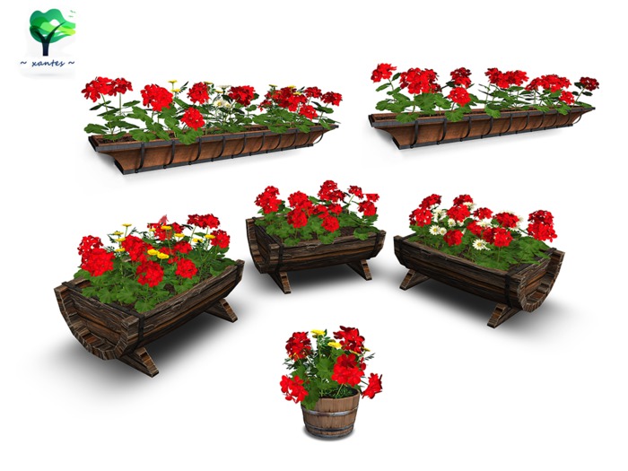 Old Wood Planters with Flowers - Set
