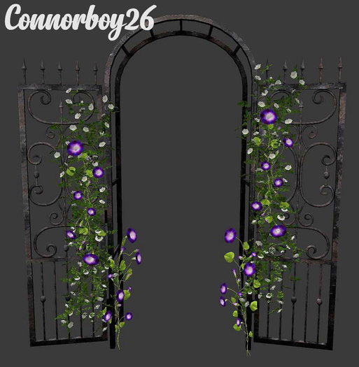 Kalopsia - Flora's Gate - Black RARE