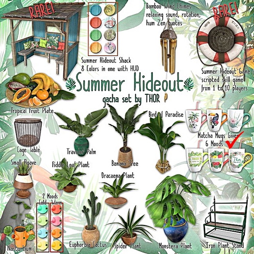 ..::THOR::.. Matcha Mug - Agave -giver