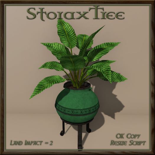 Boho Foliage Planter C14