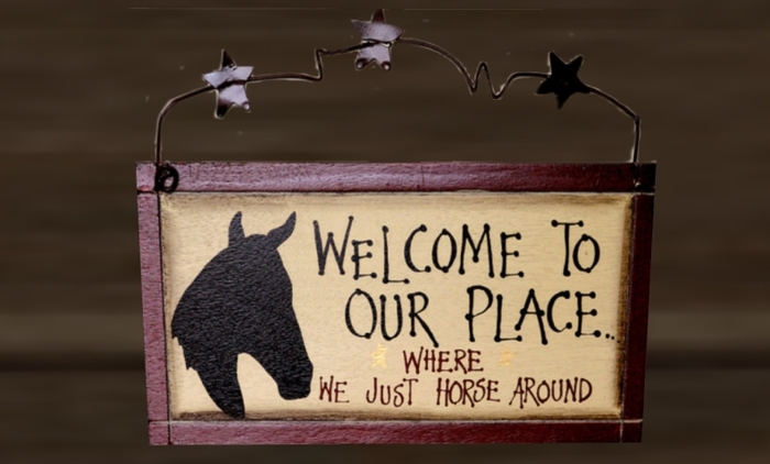 Welcome To Our Place - Where We Just Horse Around !