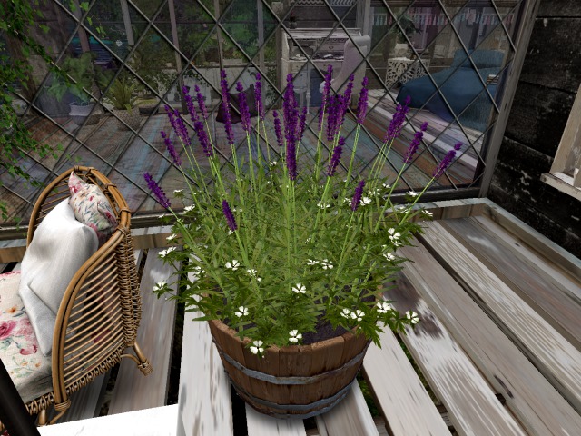 planter pot lavender