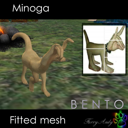 Minoga