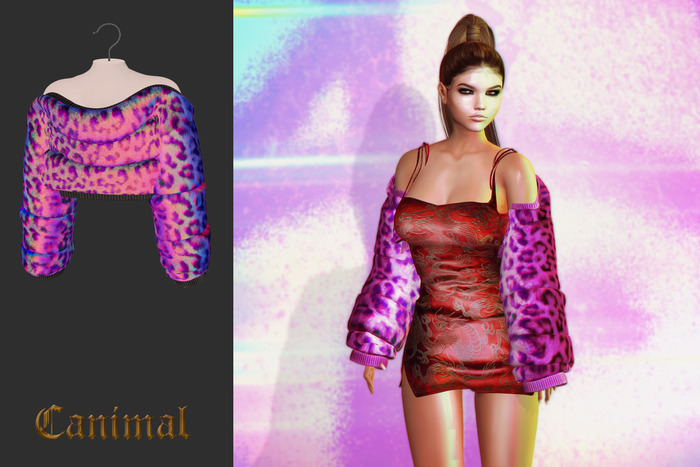 [Canimal] Xtacy Holographic
