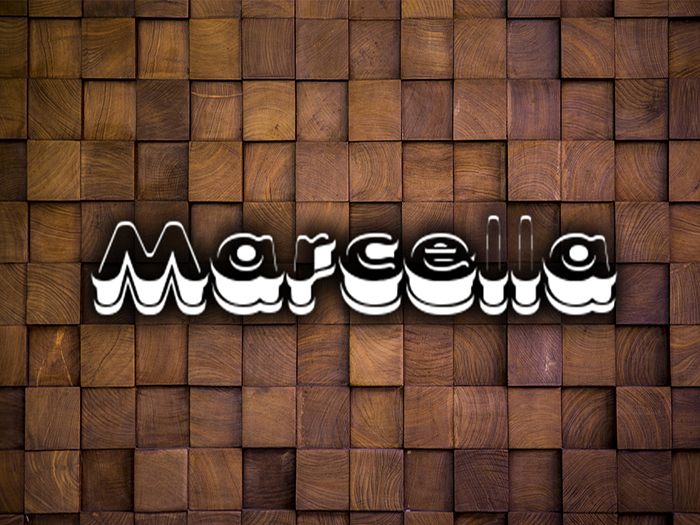 WOOD TEXTURE 28