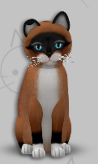KittyCatS Box - Foxie Red Mask/6T/Male/Oceania/Odyssey No. 2
