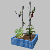 planter with vegetables and fruit (resize script)