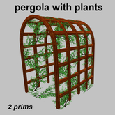 pergola with plants