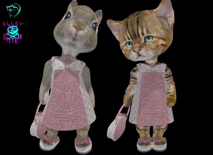 Dinkie Pink Roses Cocktail Bow Dress Set