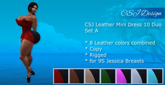 CSJ Mini Dress 10 Duo Leather A (9S Jessica)