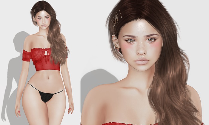 Shape Lony (Genus Baby Face)