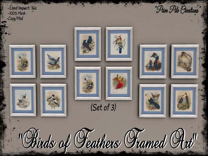 ~PPC~ Birds of Feathers Framed Art BOXED