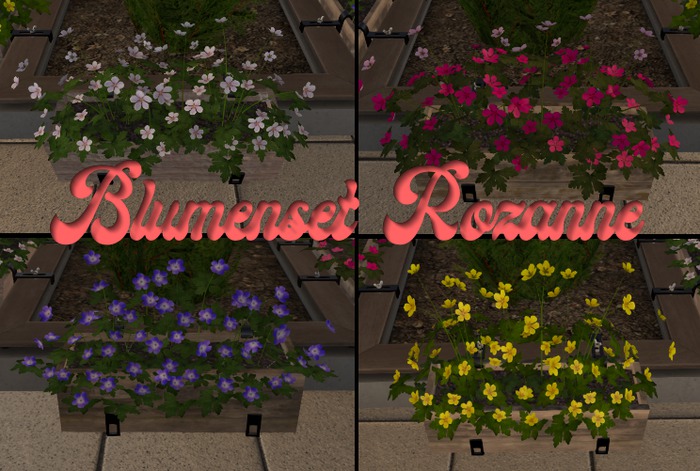 Blumenkasten Set Rozanne