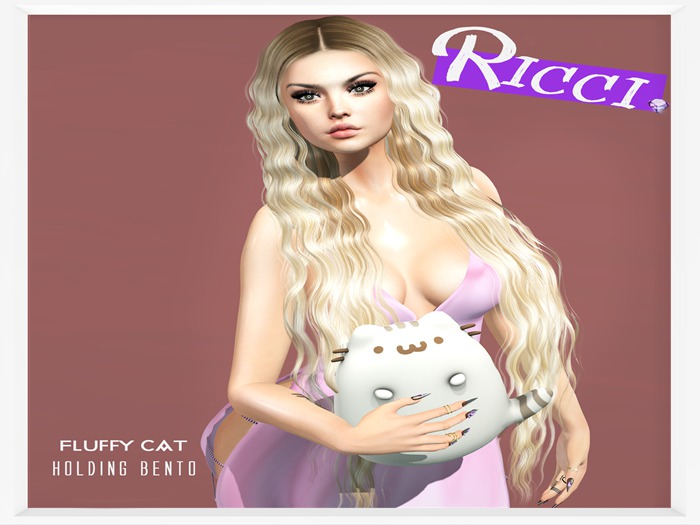Ricci - Fluffy Cat