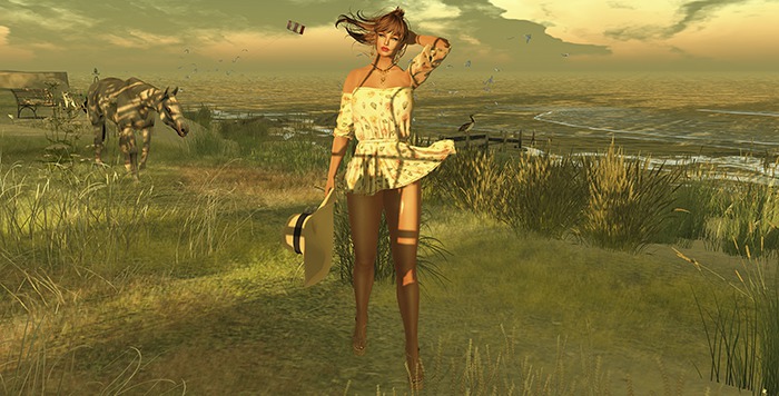 Summer Breeze