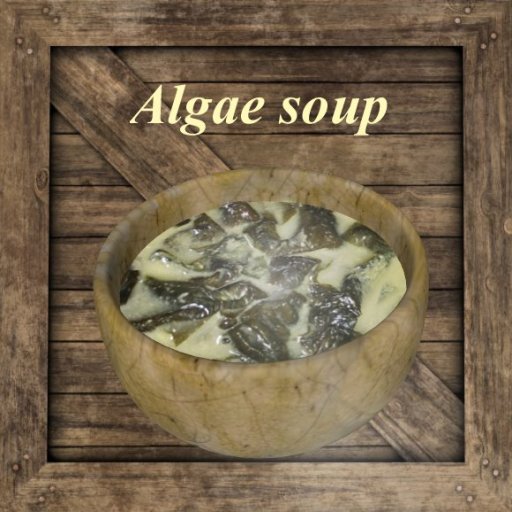 Sopa de algas / Algae soup [G&S] 2