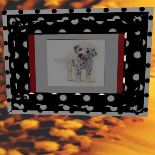 Wall Dalmation Picture