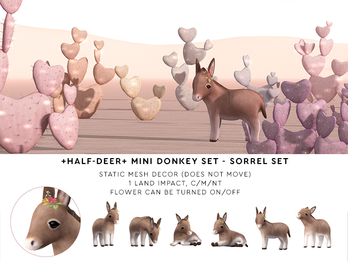 Mini Donkey - Sorrel