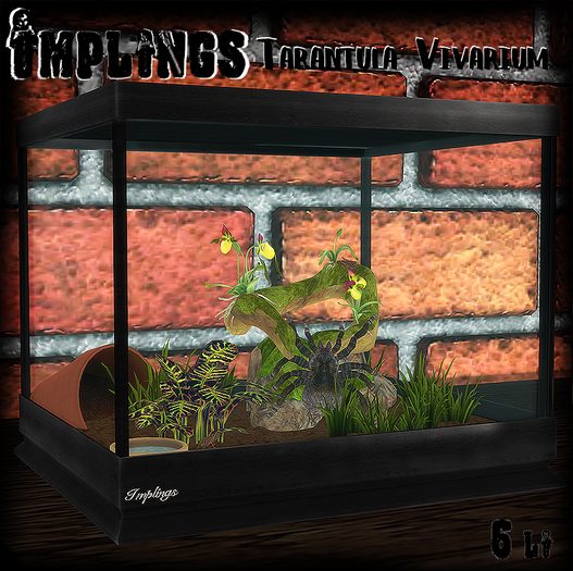 ..::Implings::.. Tarantula viv 1 ( ADD ME)