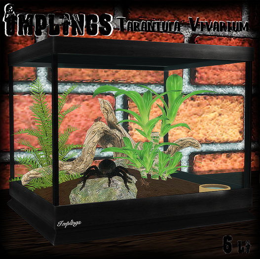 ..::Implings::.. Tarantula viv 2 ( ADD ME)