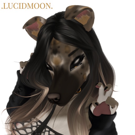 .LUCIDMOON. HP Doggo Brow