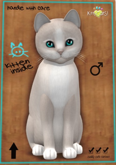 KittyCatS Box Normal - Boy 2