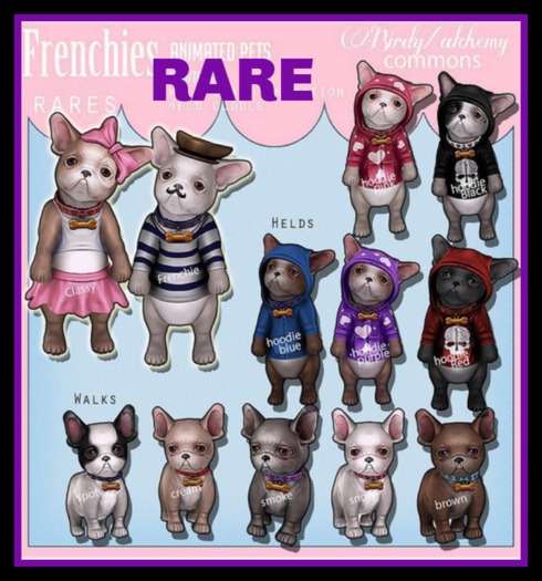 Alchemy - Doge -French bulldog - Frenchie  [box] RARE