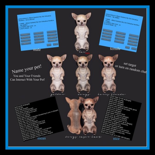 [Black Bantam] Old Chih - Him-Nice Dingy Razor Back