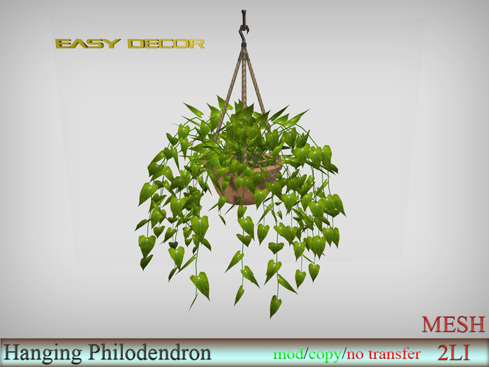 EasyDecor Hanging Philodendron  BOX
