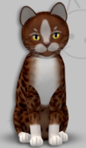 KittyCatS Box - Ginger II Autumn Leaf