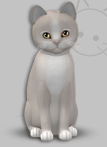 KittyCatS Box - Pearl II Odyssey - macho