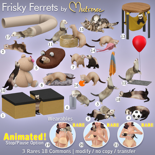 Mutresse - Frisky Ferrets - 14